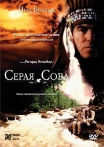 Серая сова