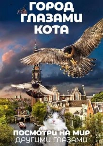 Город глазами кота